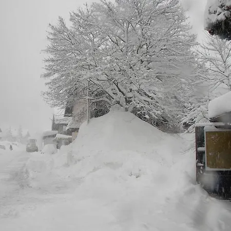 Apartman Haus Kinsperger