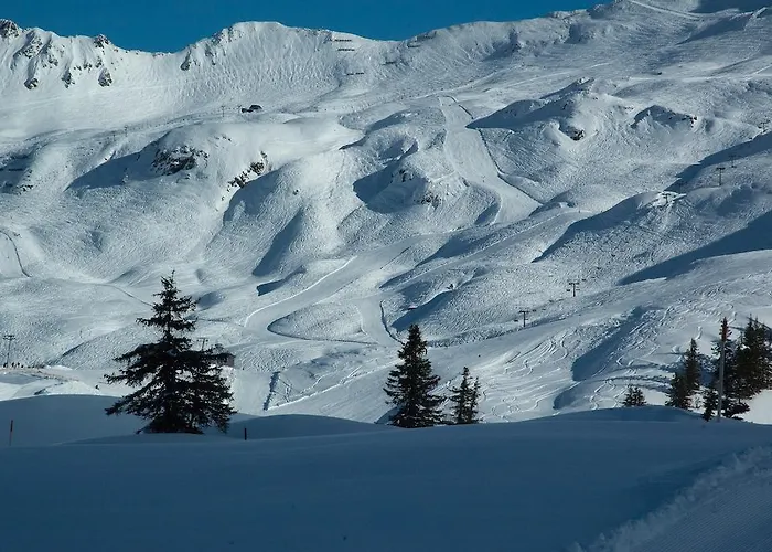 アパート Haus Kinsperger