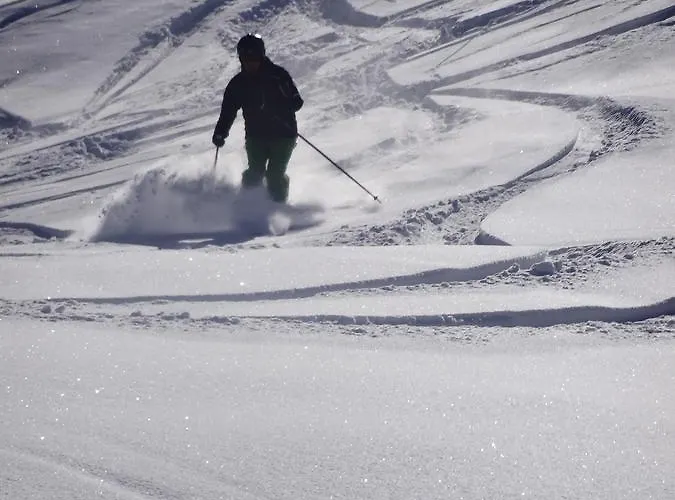 Haus Kinsperger アパート *